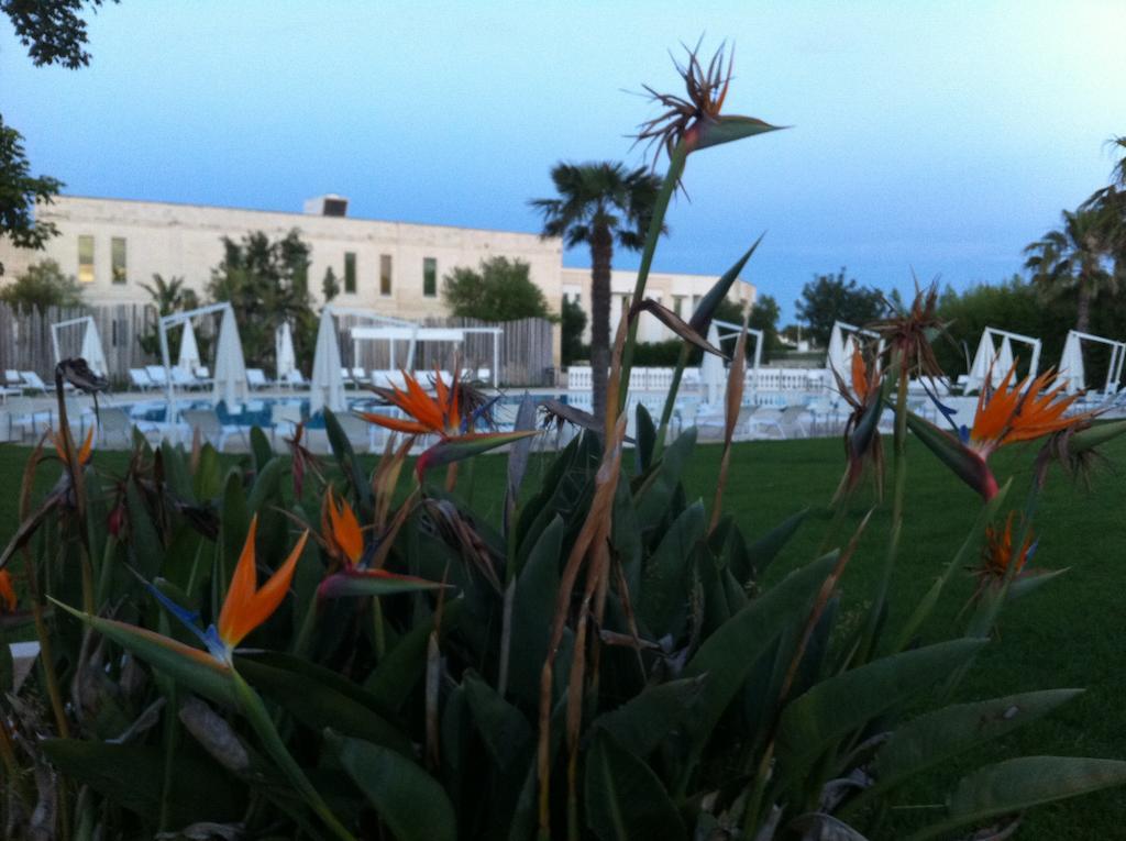 Hotel Arthotel & Park 4*